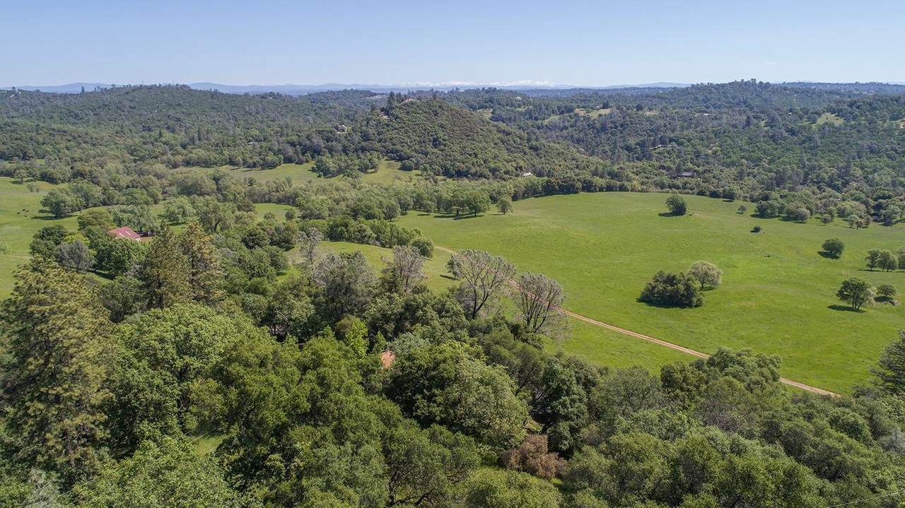 4-Acres French Creek - Photo 1