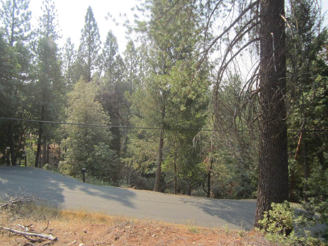 3377 Lupine Lane - Photo 1