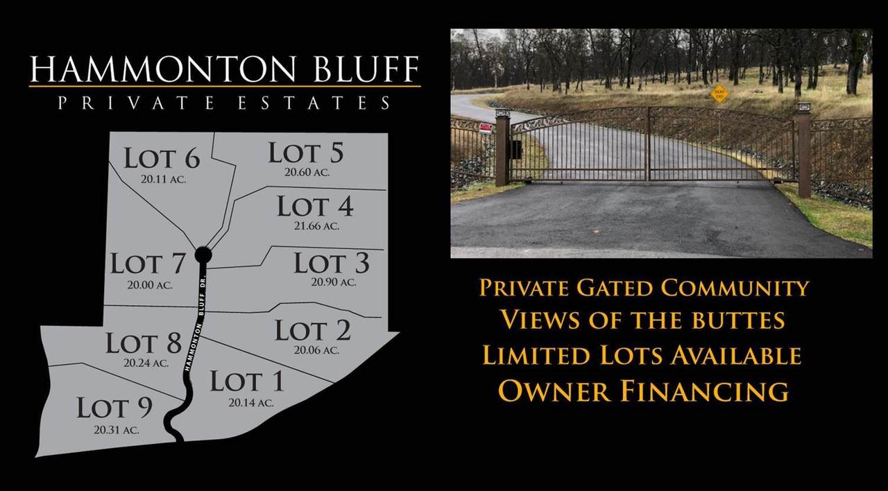 0 Hammonton Bluff Parcel 9 - Photo 1