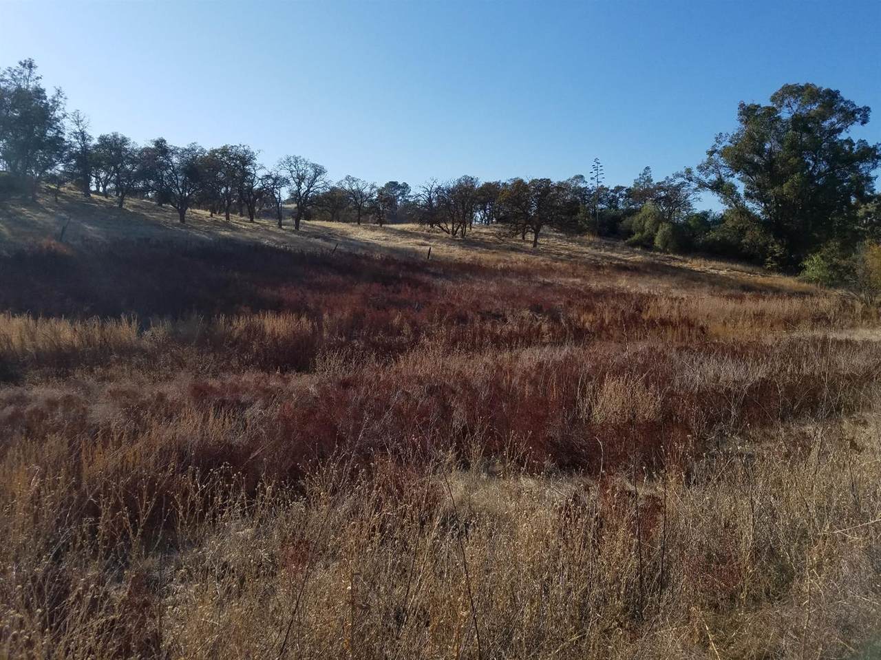 1000 Castillo Way - Photo 1