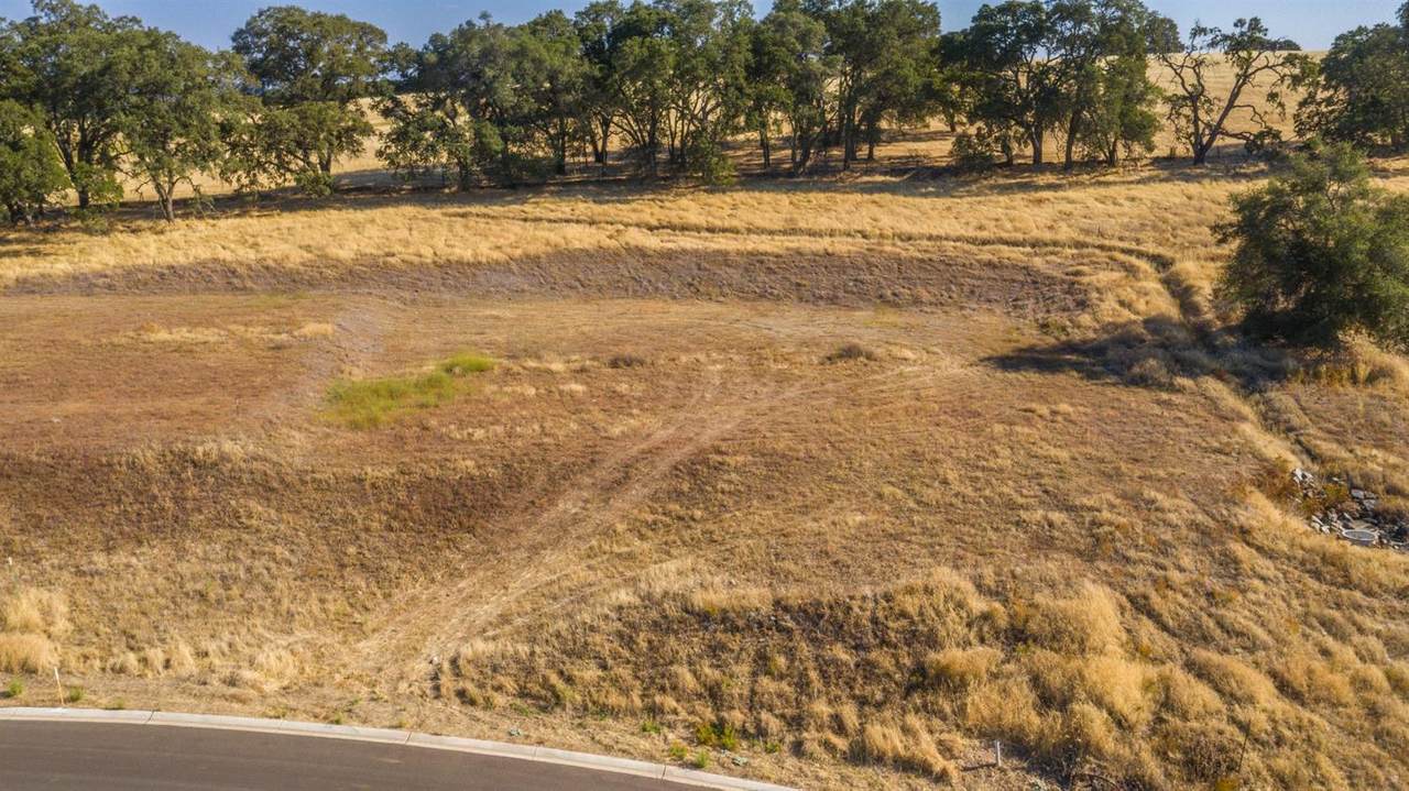 6385 Western Sierra Way - Photo 1