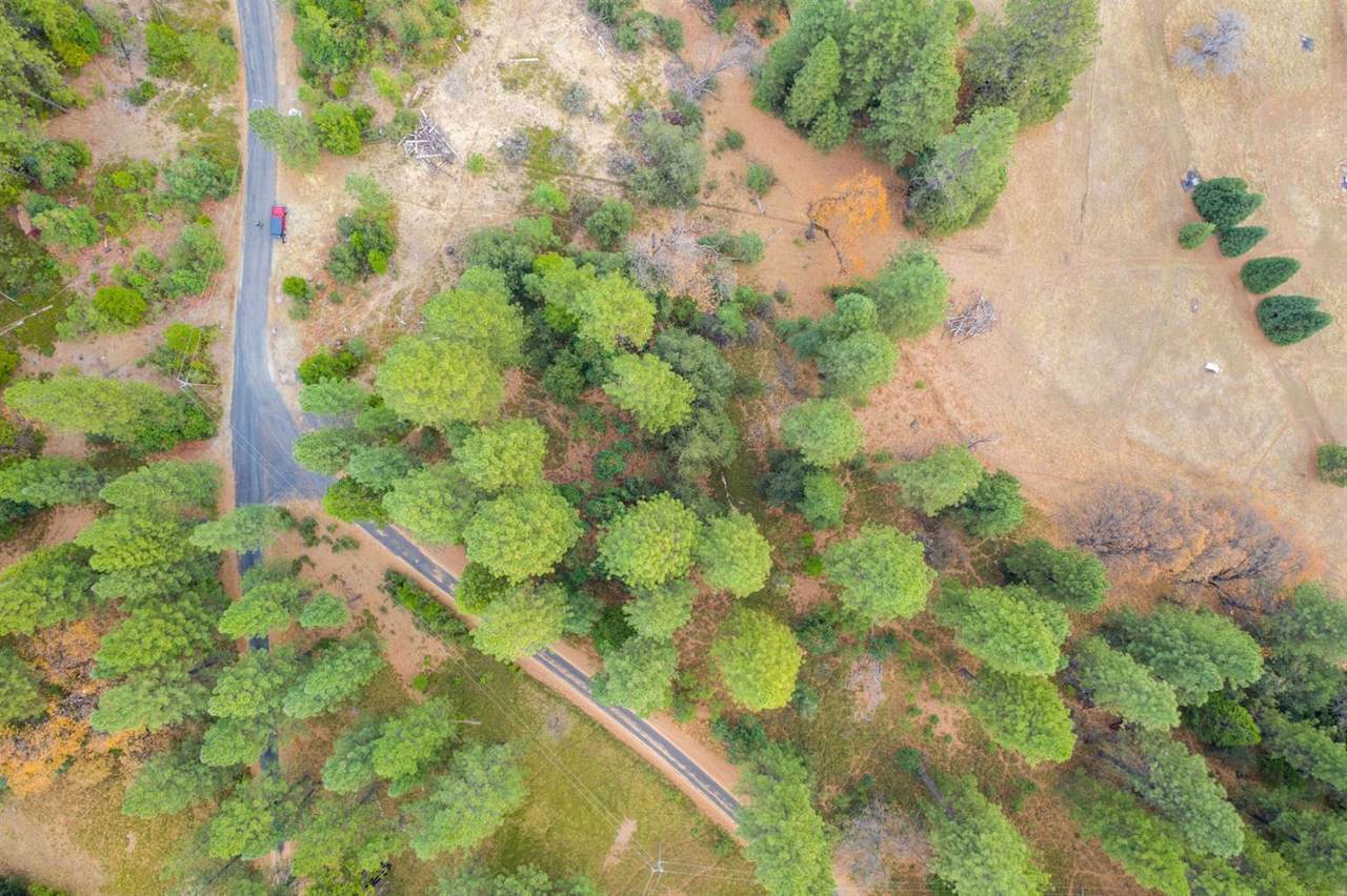 0 Sherwood Forest - Photo 1
