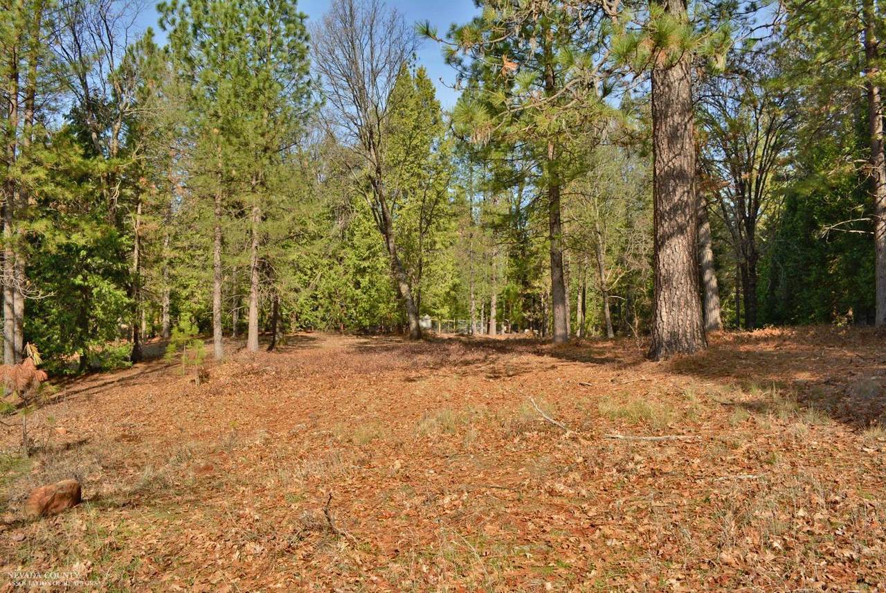 19222 Louis Road - Photo 1