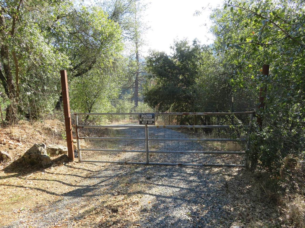 2683 Railroad Flat Road - Photo 1
