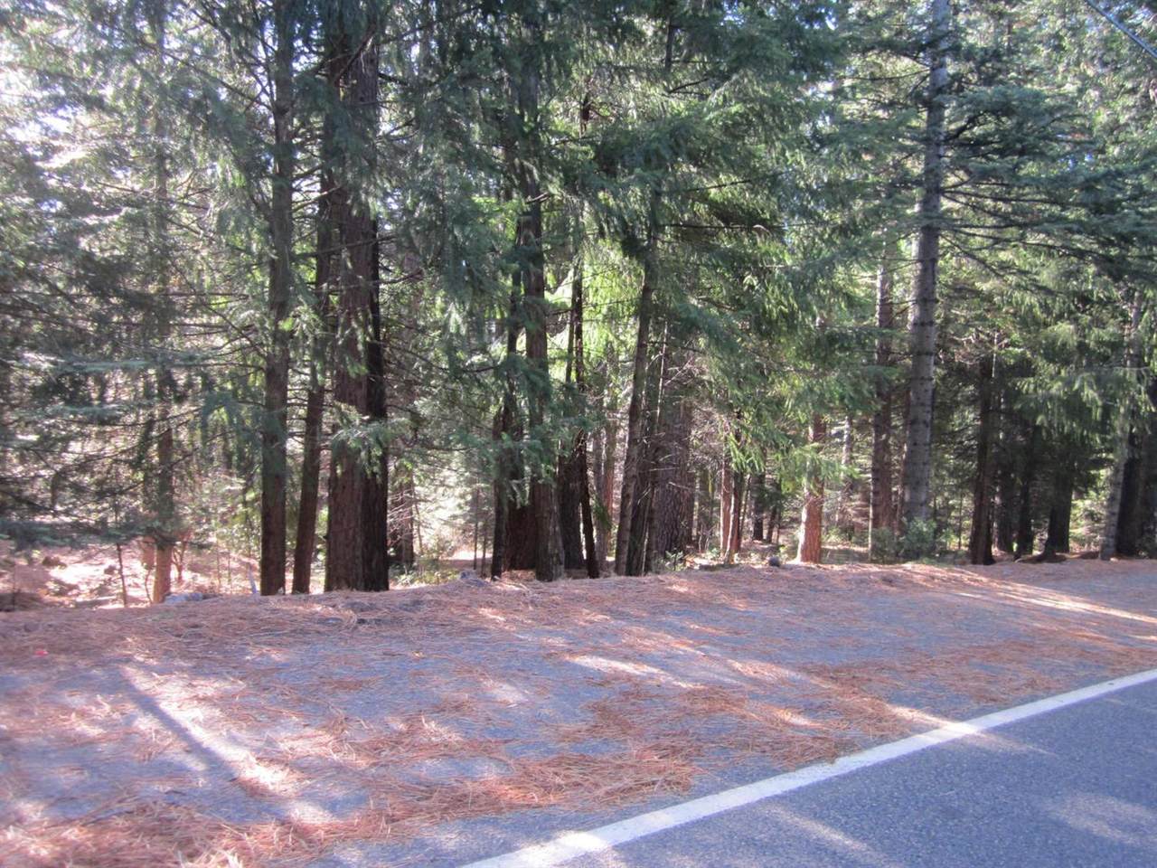 4505 String Canyon Road - Photo 1