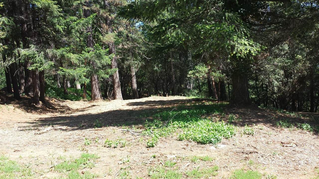15 Mosquito Ridge Road - Photo 1