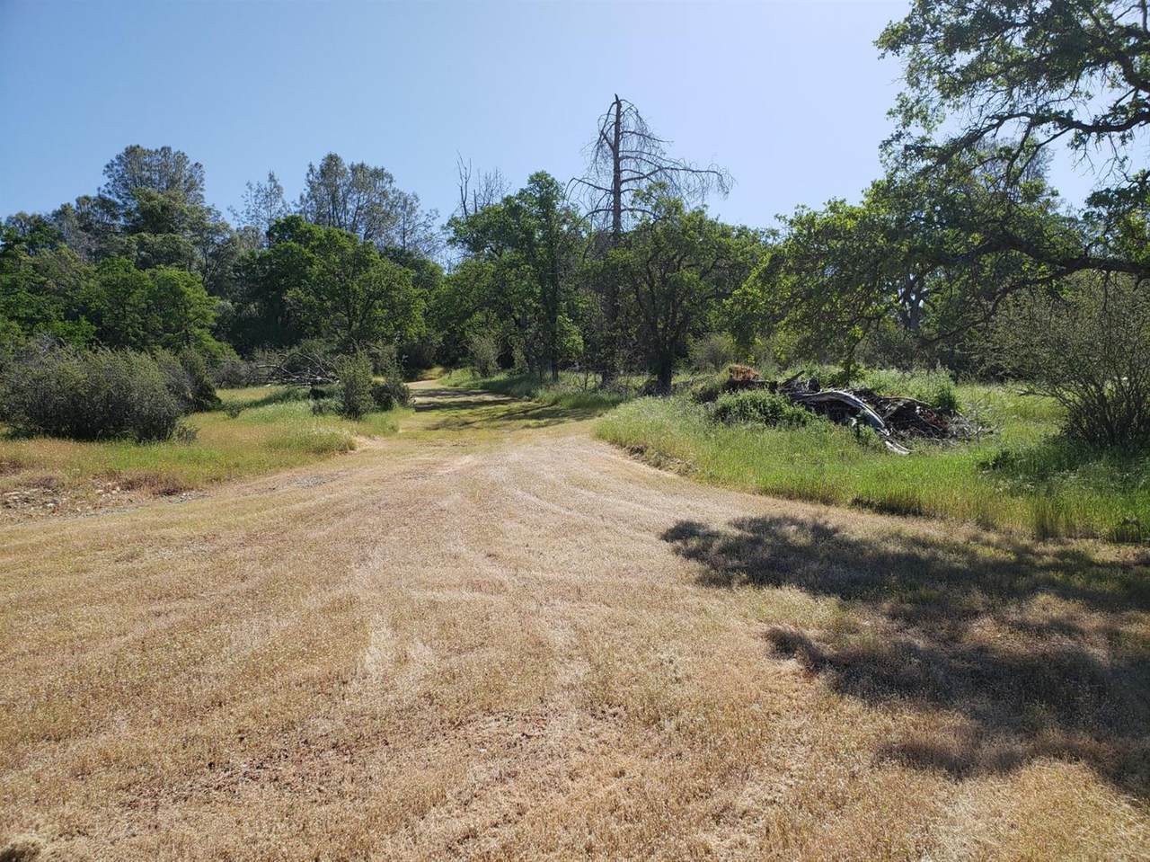 5 Arrowbee Drive - Photo 1
