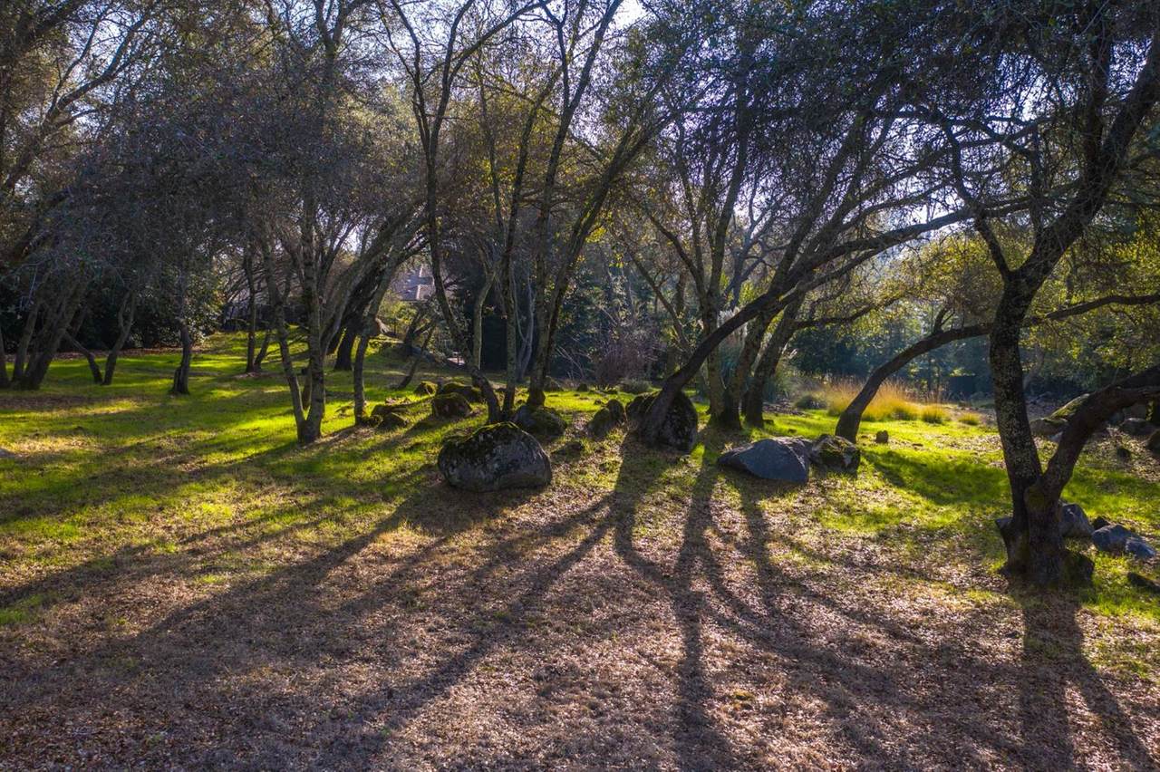 5620 Los Posas Way - Photo 1