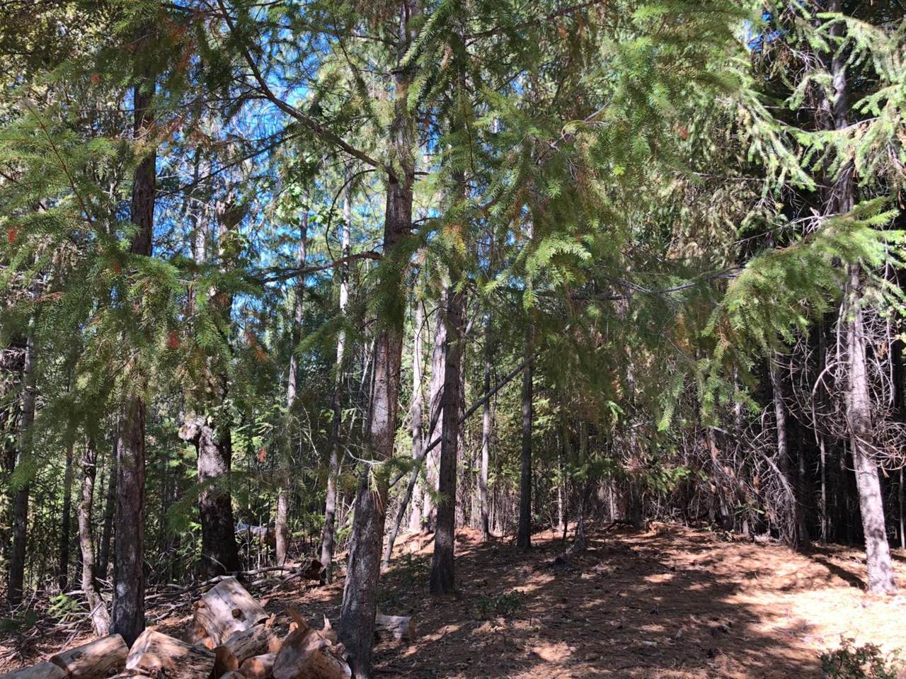 28300 Secret Town Court - Photo 1