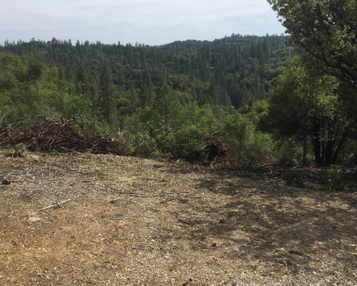 14190 Shake Ridge - Photo 1