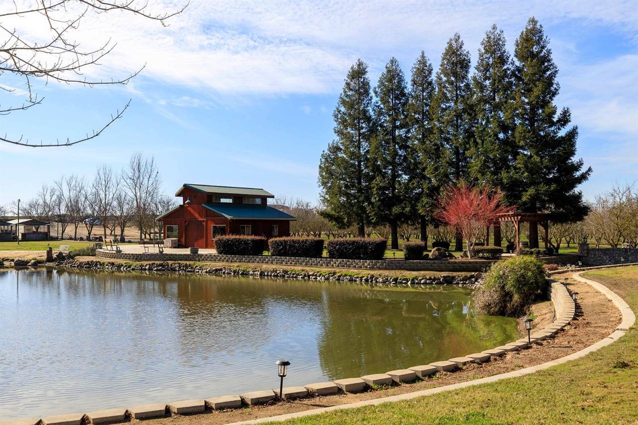 9823 Henry Road - Photo 1