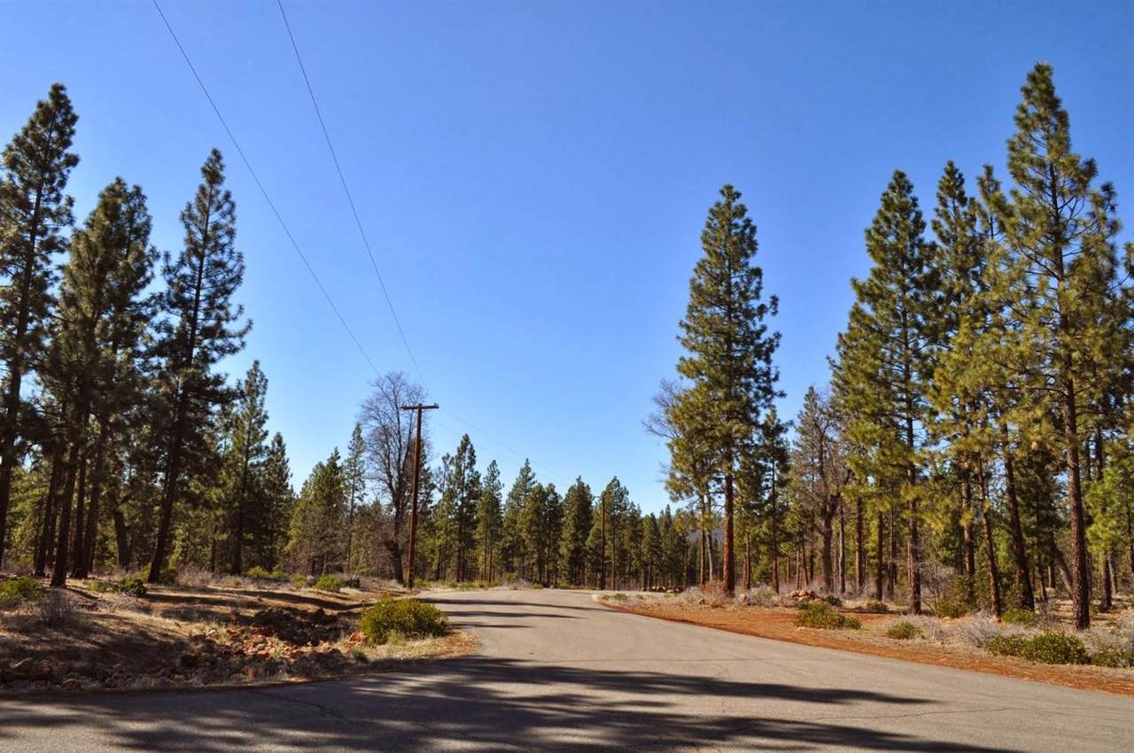 0 Governor Drive - Photo 1