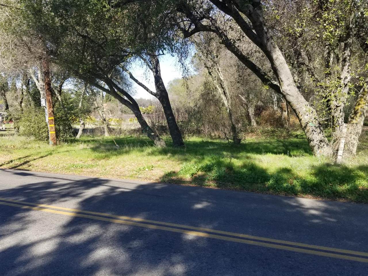 0 Olive Ranch Road - Photo 1