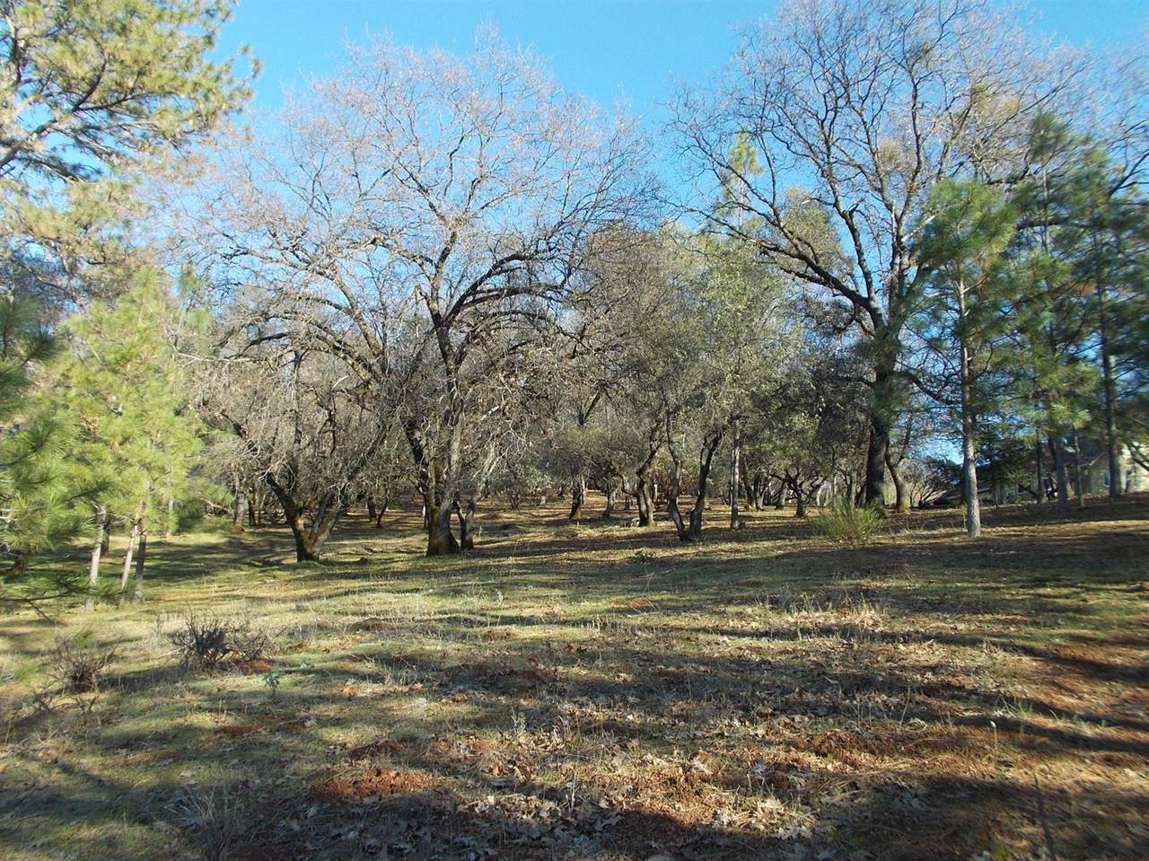 2329 Hidden Gold Trail - Photo 1