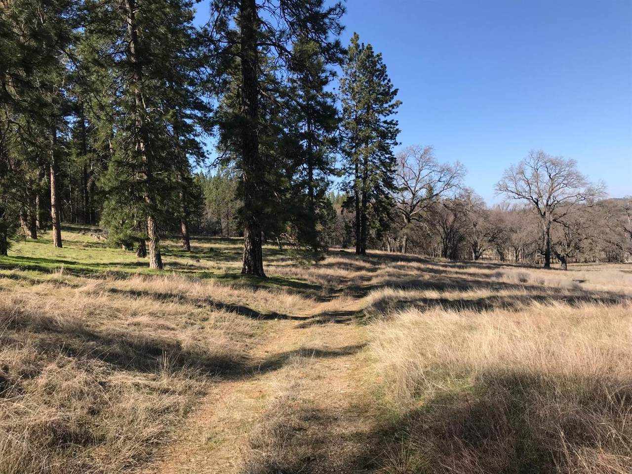 17057 Tyler Road - Photo 1