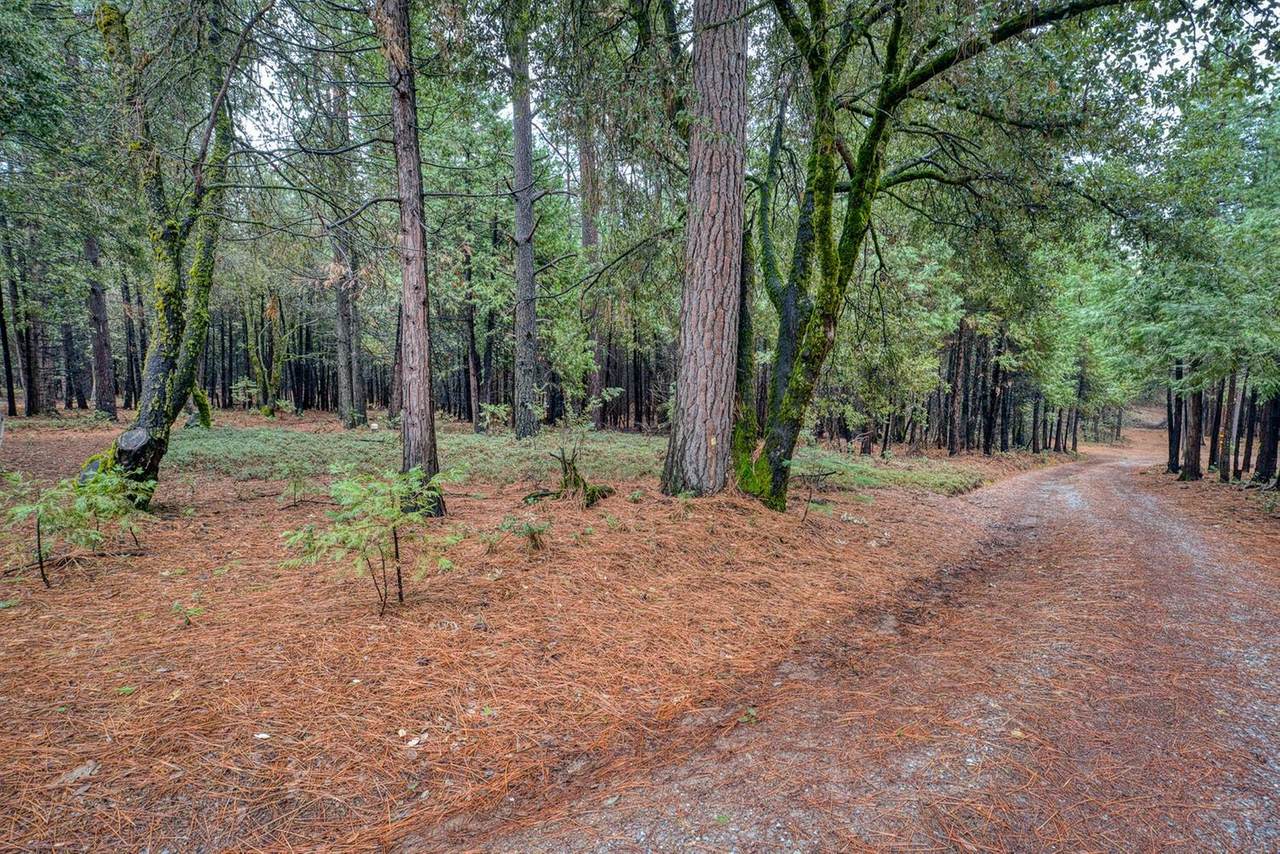 18642 Gold Creek Trail - Photo 1