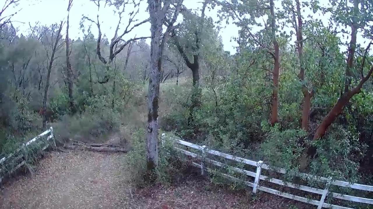 5270 Blue Mountain Drive - Photo 1