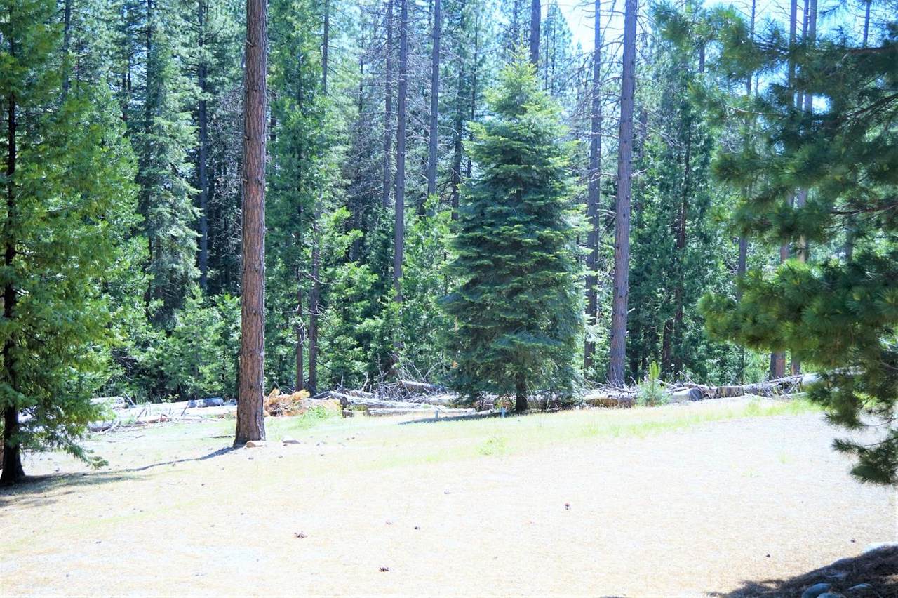 27200 Dew Drop Road - Photo 1