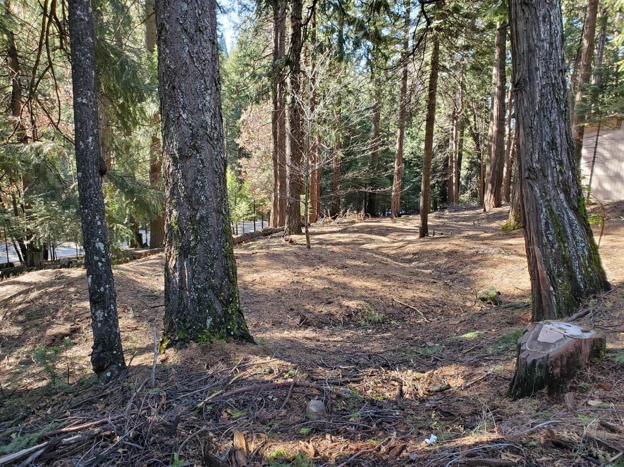 3280 Gold Ridge Trail - Photo 1