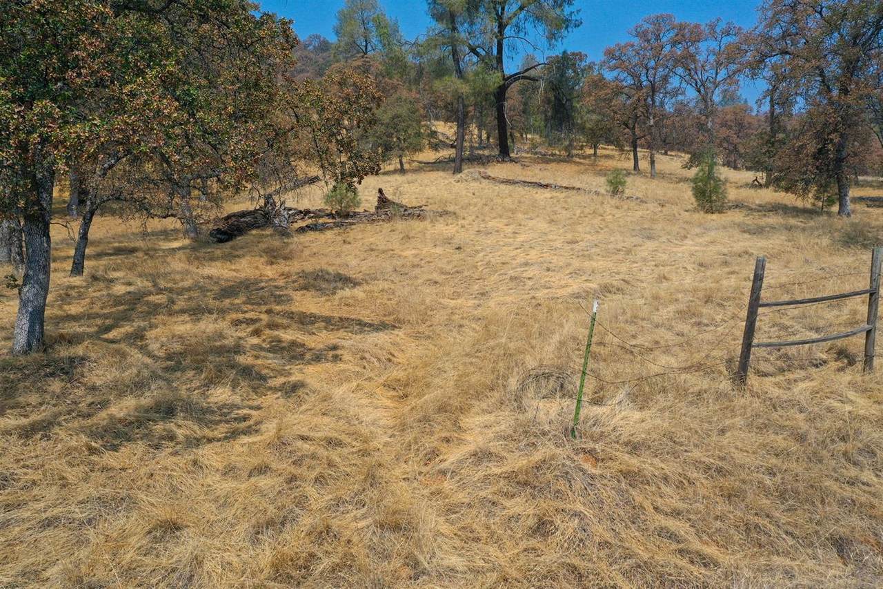 53 Deer Hollow Trail - Photo 1