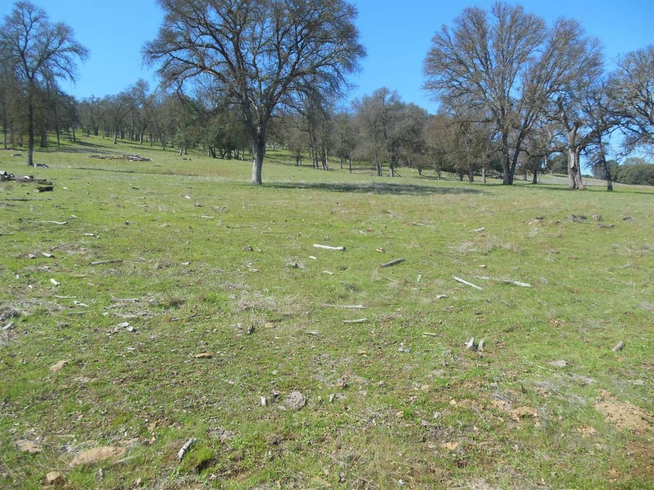 6626 Pool Station Road - Photo 1