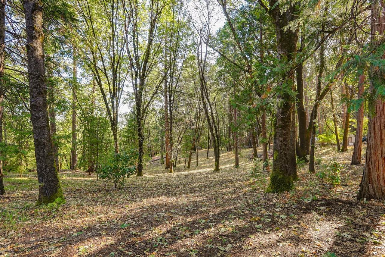 14488 Charden Road - Photo 1