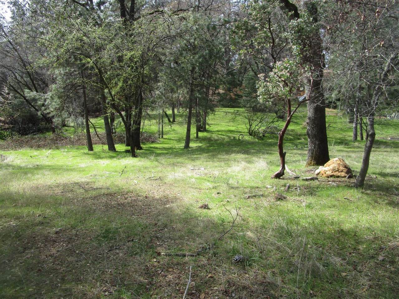 18502 Norlene Way - Photo 1