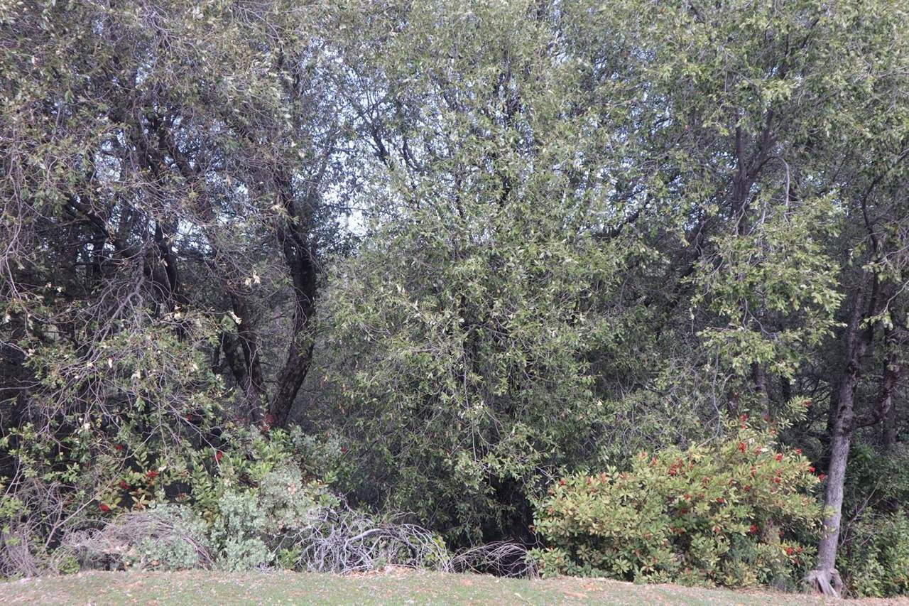 13190 Penrose Drive - Photo 1