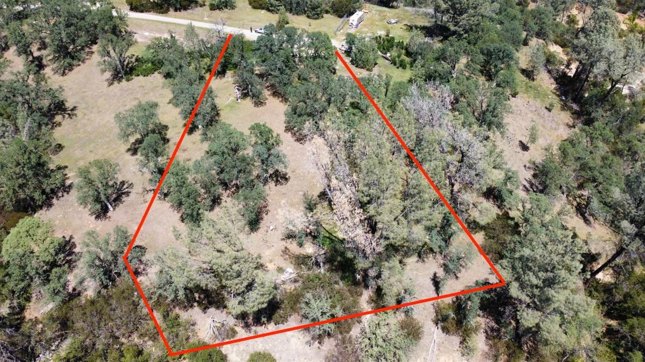 7065 Whitetail Way - Photo 1