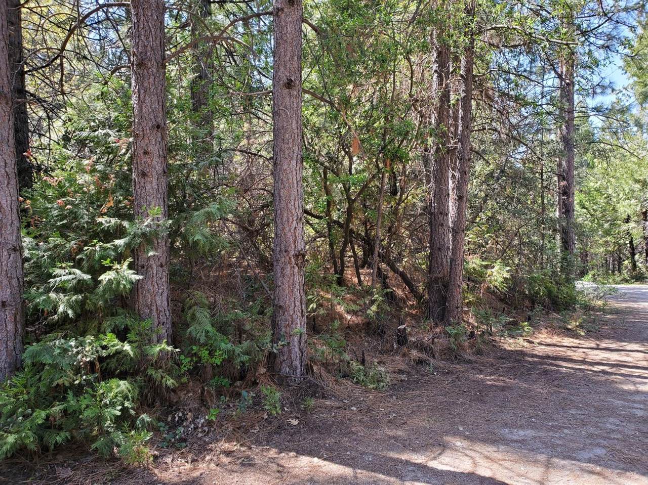 0 Oak Hills Lane - Photo 1