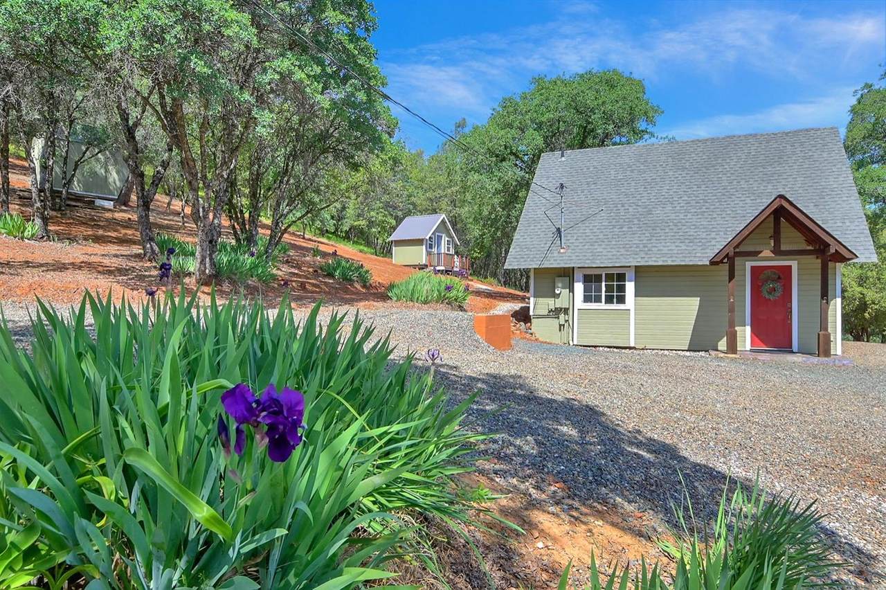 12222 Dolan Harding Road - Photo 1