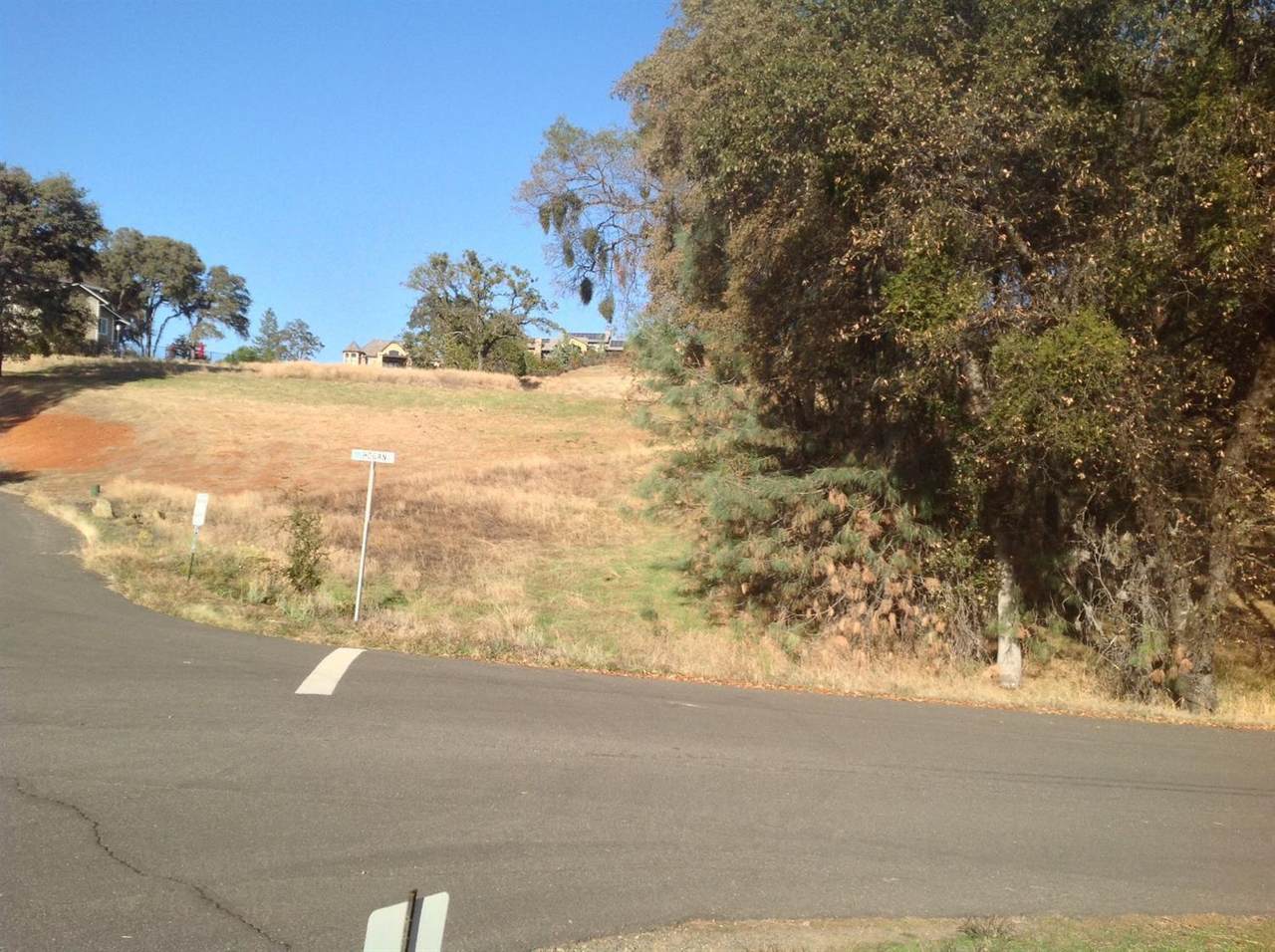 23725 Hogan Road - Photo 1