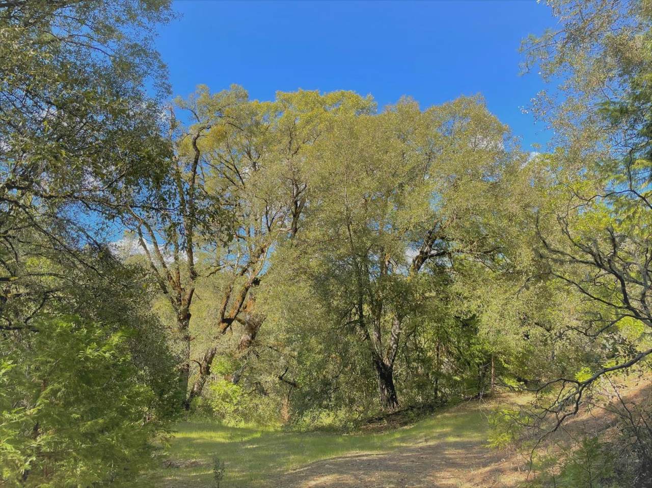 0 0-Choctaw Lane - Photo 1