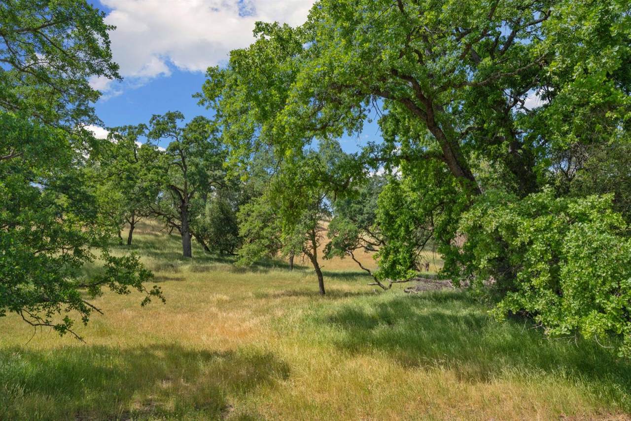 1605 Camino Verdera - Photo 1
