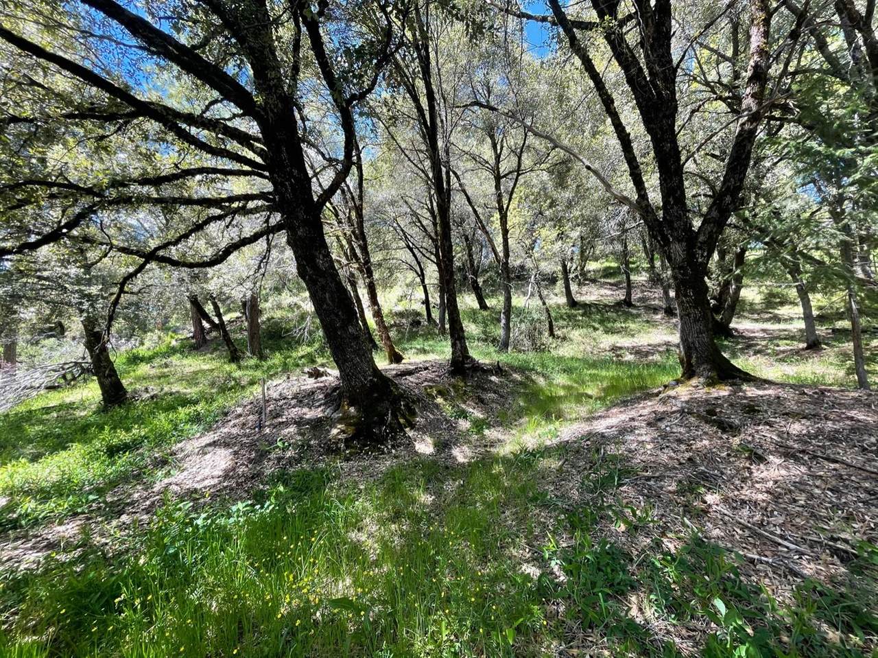 15765 Mountain View Drive - Photo 1