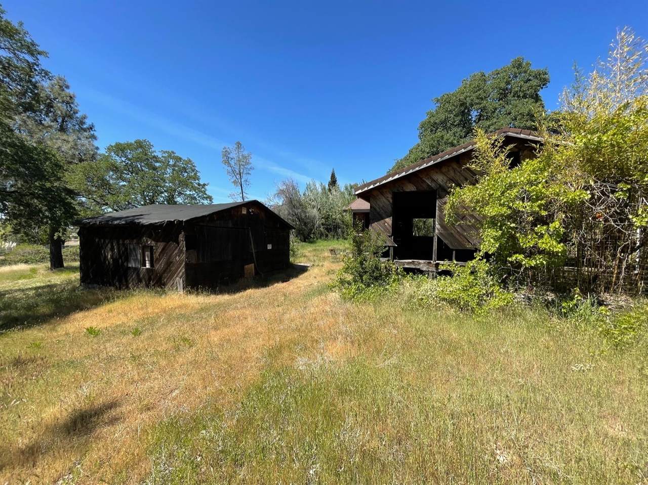 12265 New Airport Road - Photo 1