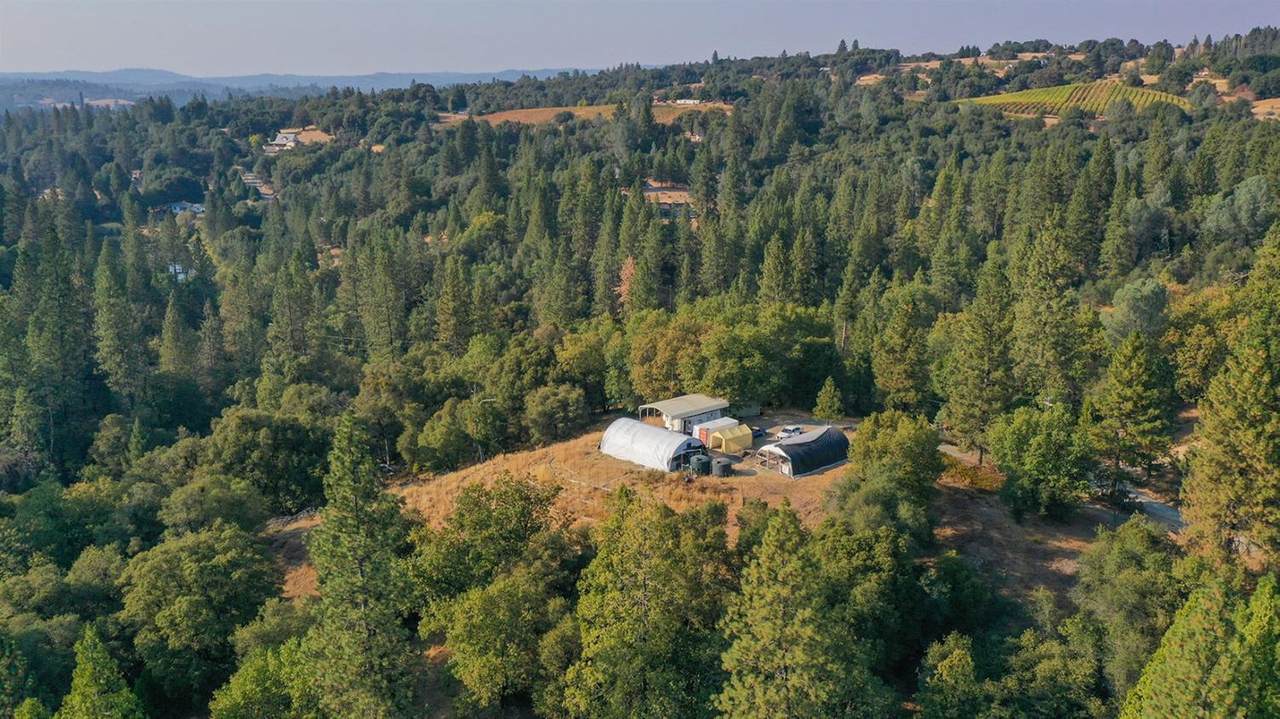 8005 Boondock Trail - Photo 1
