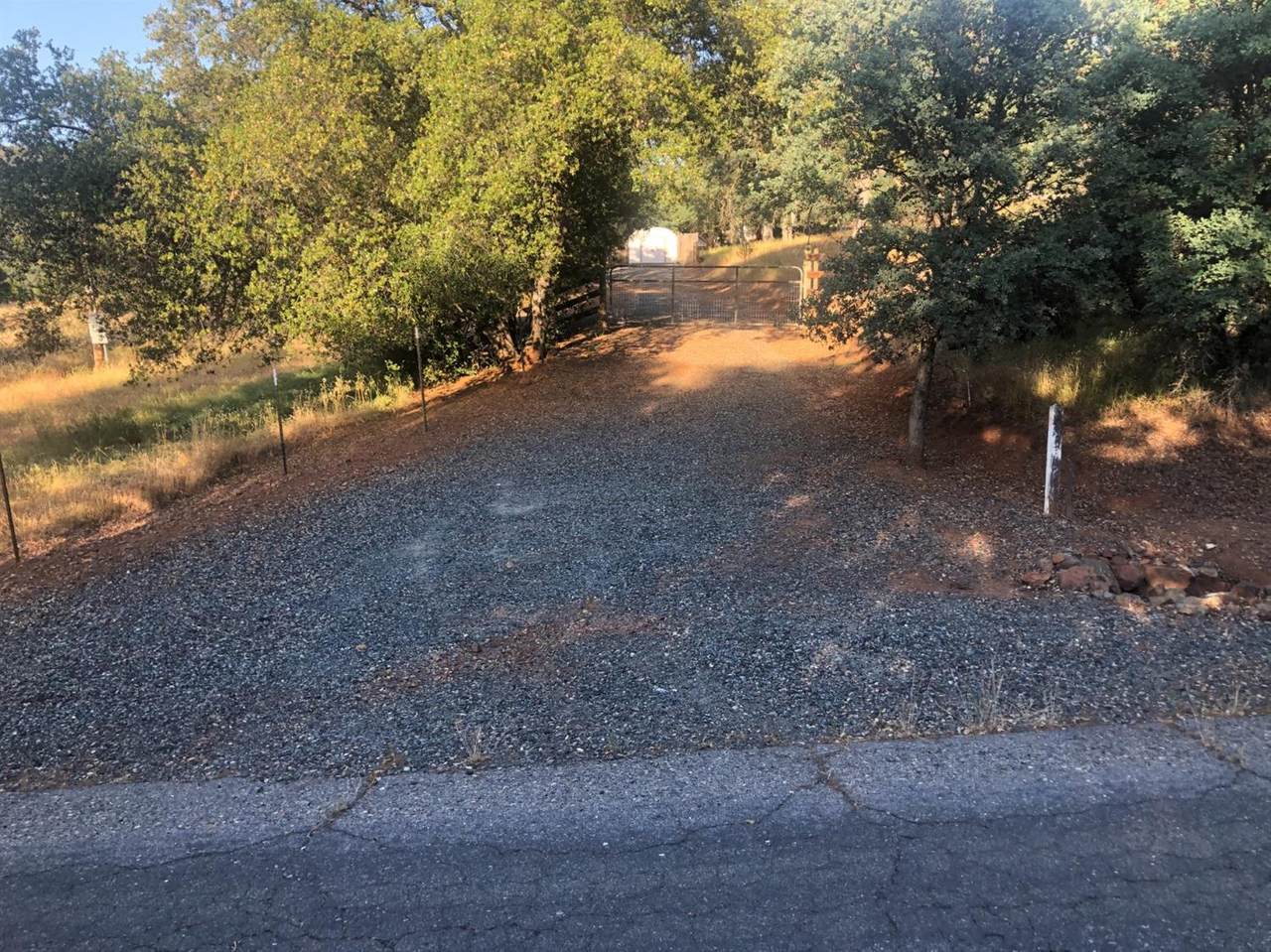 10372 Chapulin Drive - Photo 1