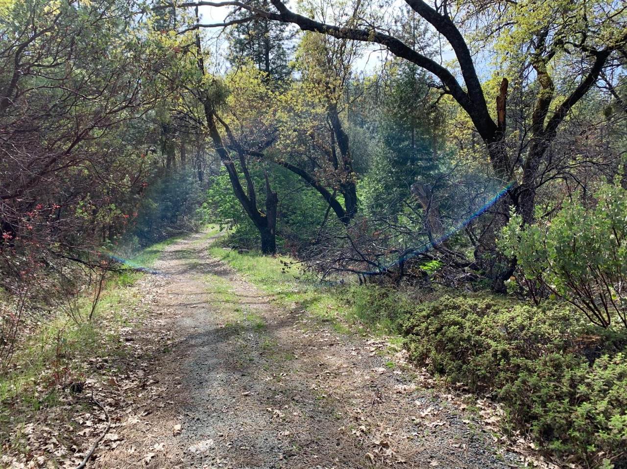 0 Old Schoolhouse Road - Photo 1