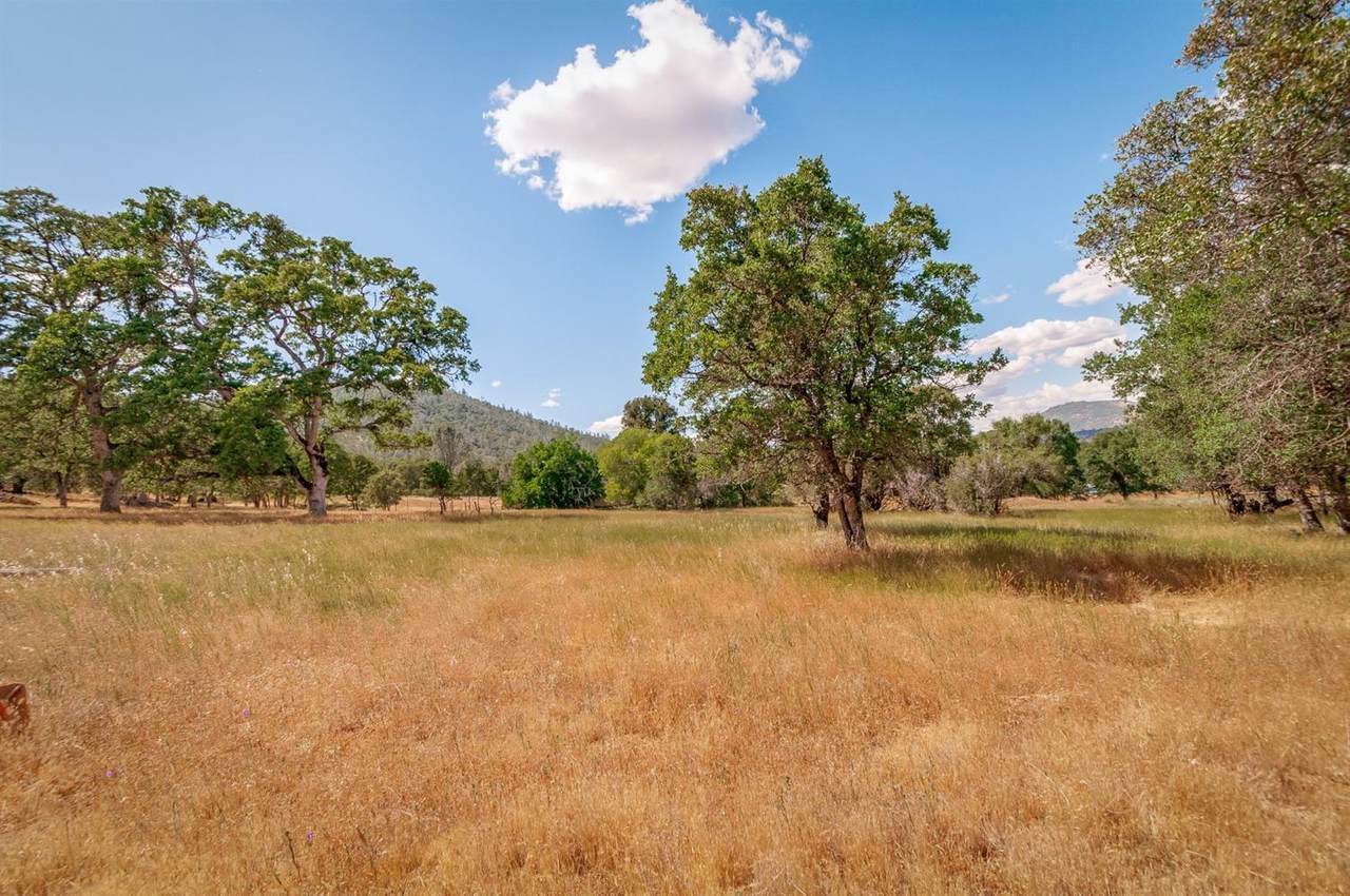 9941 Spring Hill Ranch Road - Photo 1