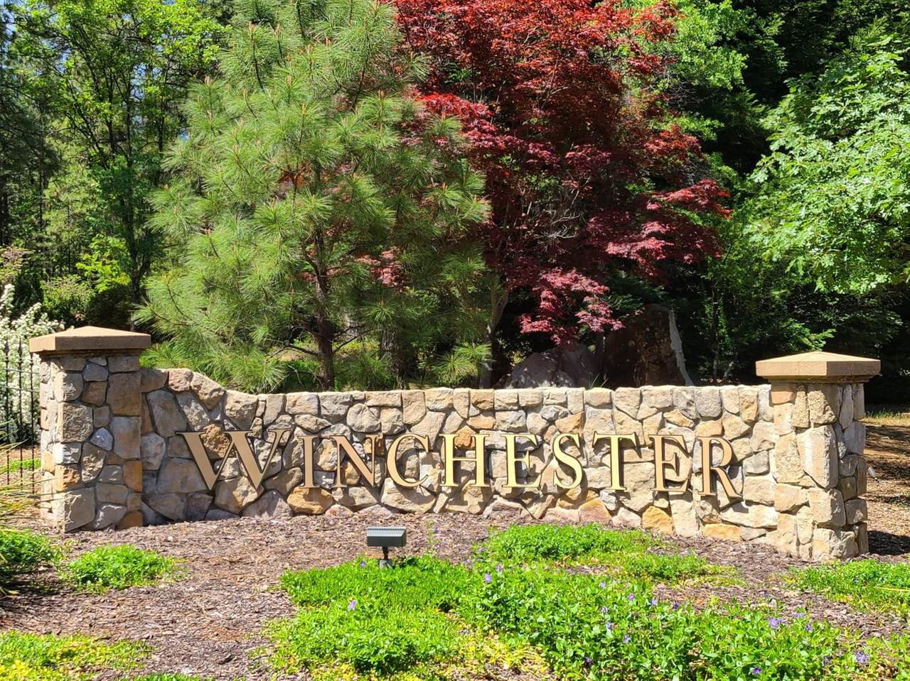 1381 Shady Tree Lane - Photo 1