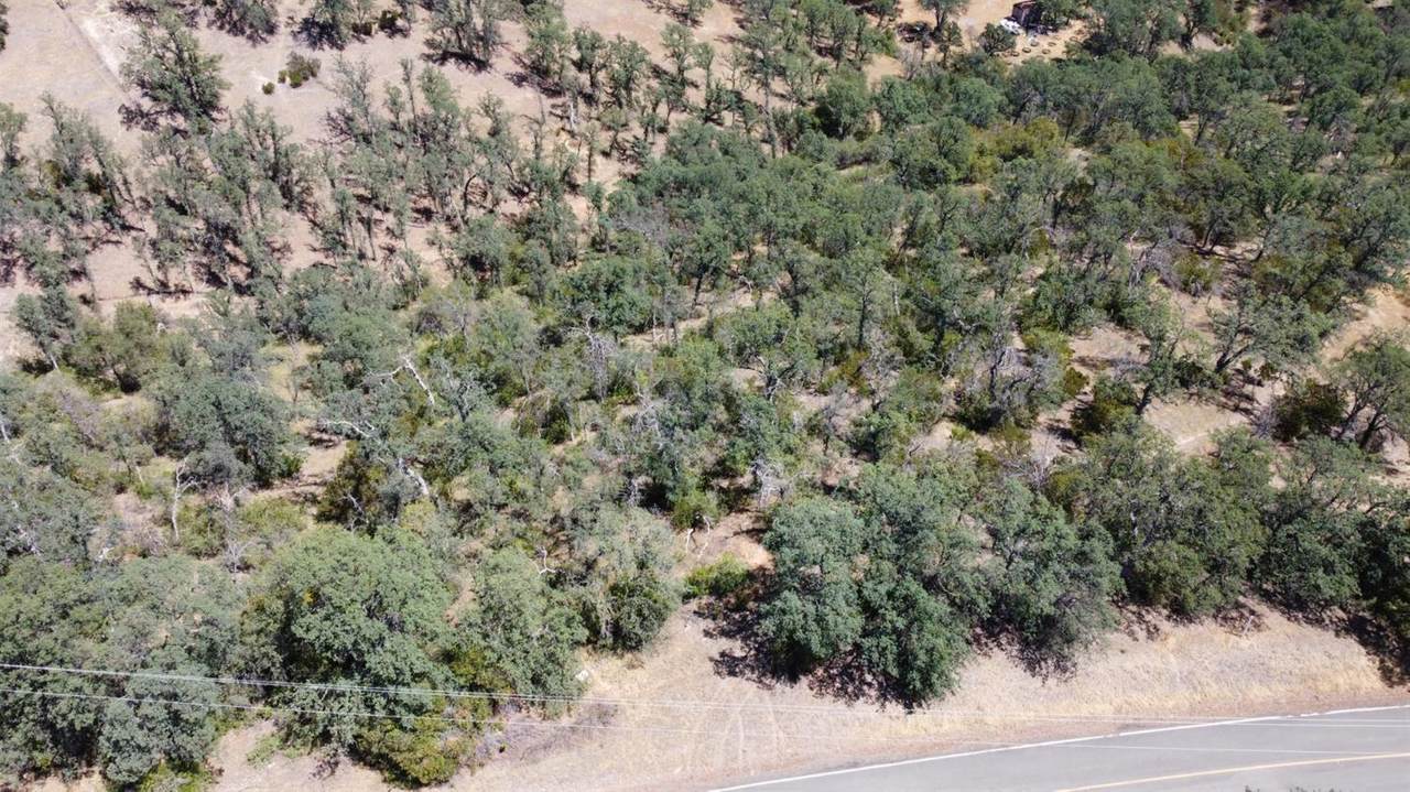 6875 Lariot Loop - Photo 1