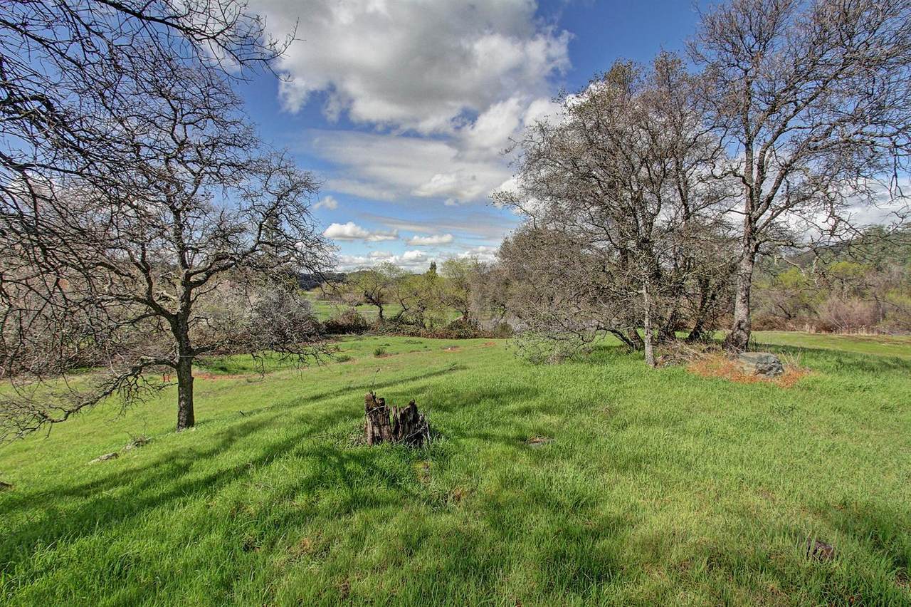 6535 Curtola Ranch Road - Photo 1