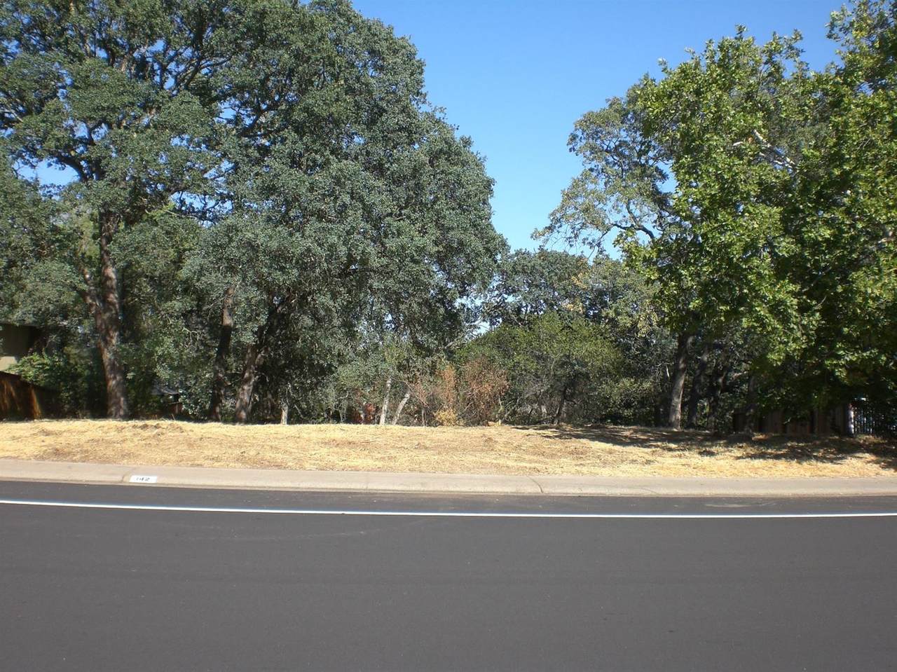 142 American River Canyon Drive - Photo 1
