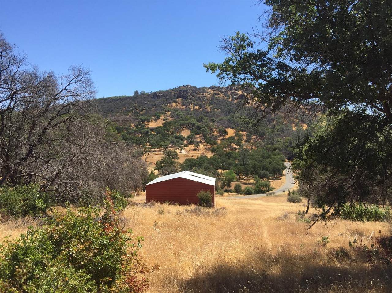 12175 Kimberly Road - Photo 1
