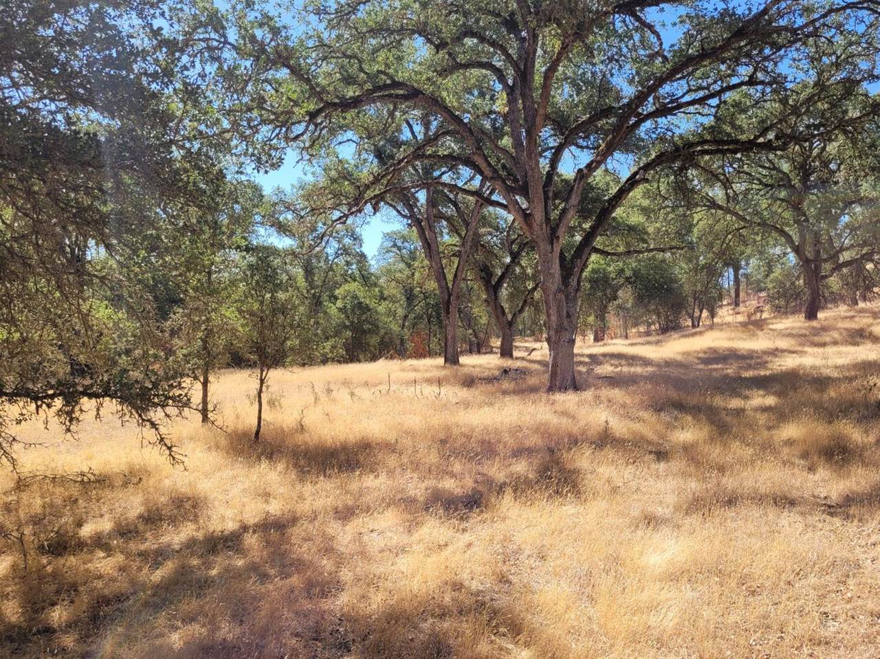 0 Buckboard - Photo 1