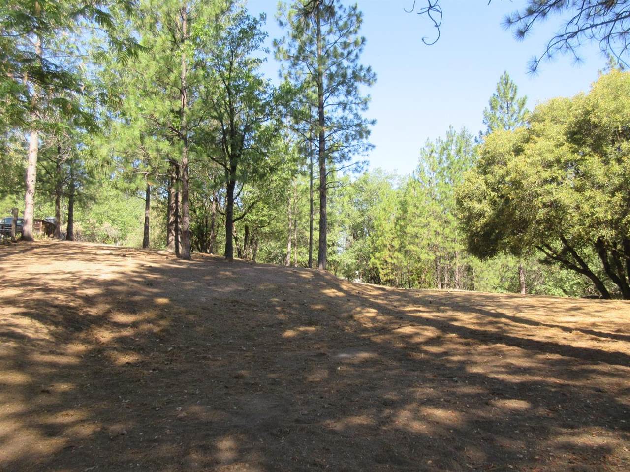 26355 Barb Wire Lane - Photo 1
