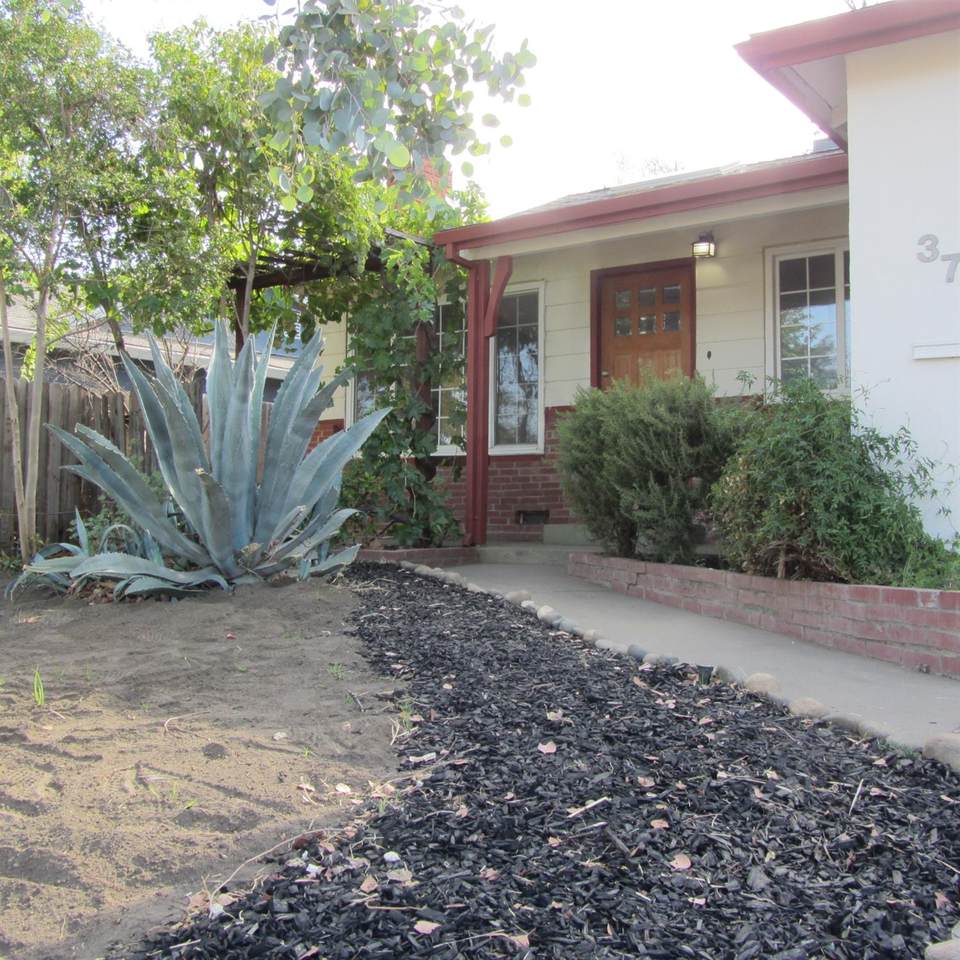 3717 Wildrose Way - Photo 1
