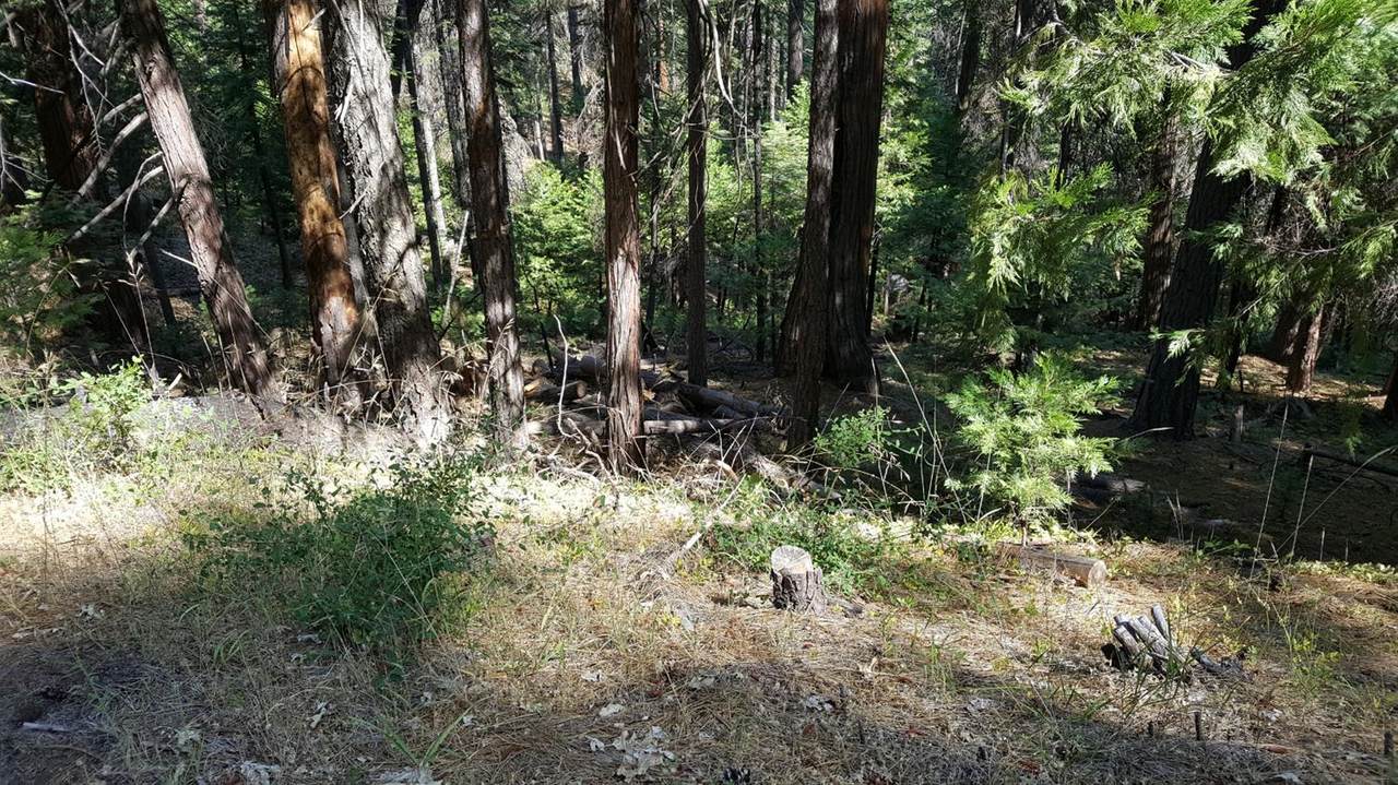 181 Forest Meadows Drive - Photo 1