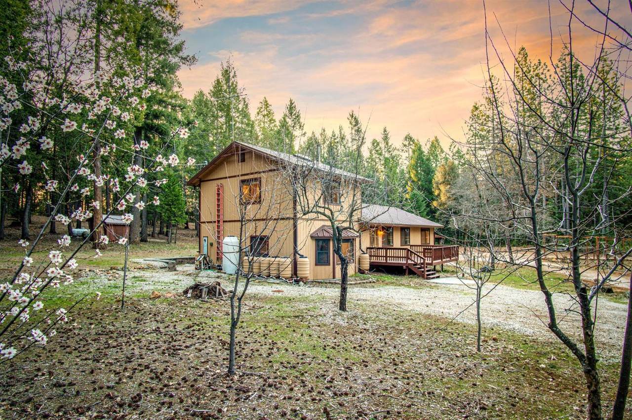 11815 Buckeye Road - Photo 1